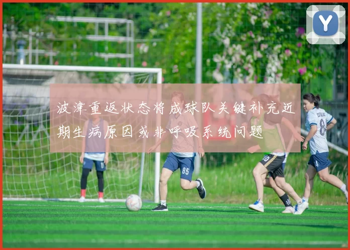 波津重返状态将成球队关键补充近期生病原因或非呼吸系统问题